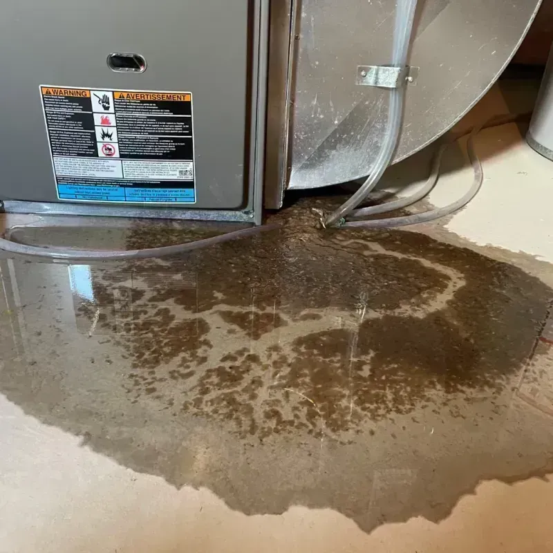 Appliance Leak Cleanup in Palmer Lake, CO